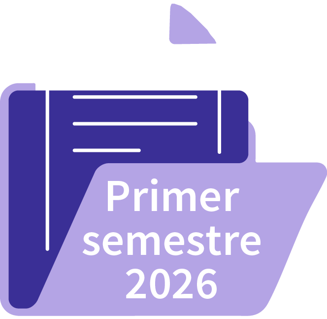 IG primer trimeste 2026